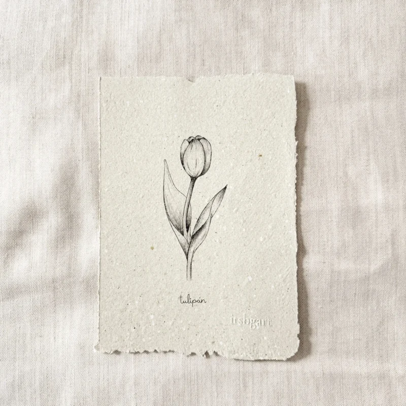 Tulipán