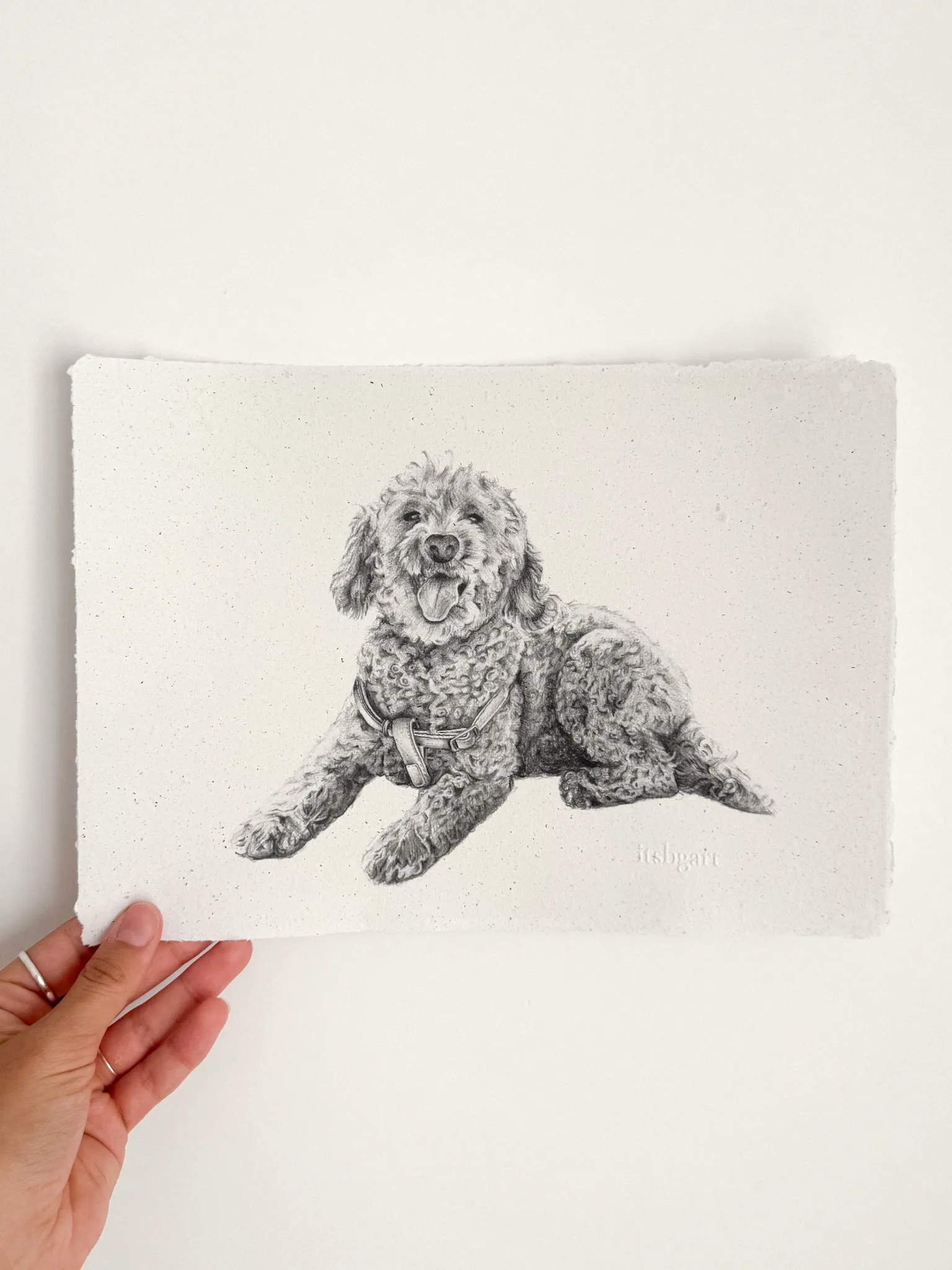 Retrato Realista Personalizado 1 RETRATO MASCOTA REALISTA PERSONALIZADO