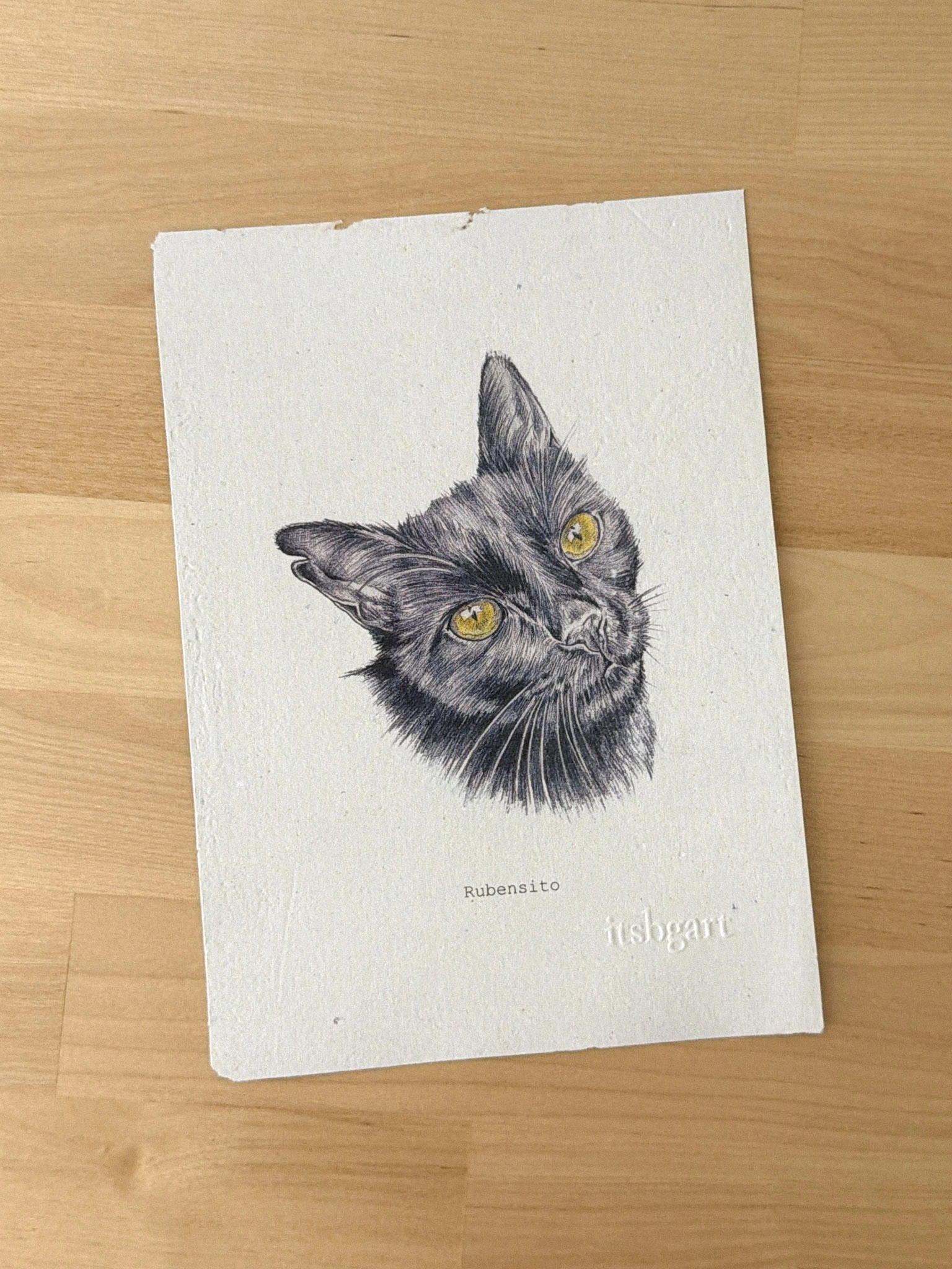 Retrato Mascota Personalizado 1 Retrato realista gato