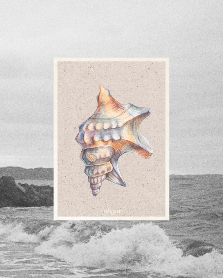 Ilustración Postal La Cartota